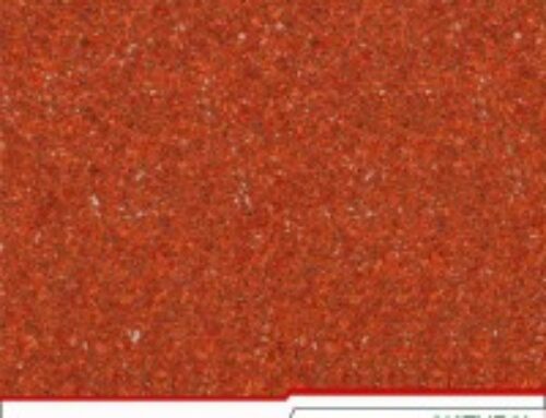 Free Range Cattle Farming