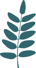 sale-leaf-2
